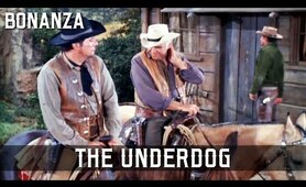 Bonanza - The Underdog | Episode 180 | Classic Western | TV Series | Wild West | English